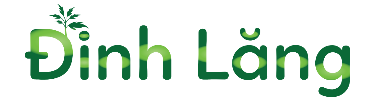 dinhlangfood.com